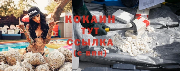 прущие крисы Балахна