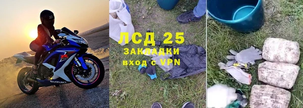 PSILOCYBIN Баксан