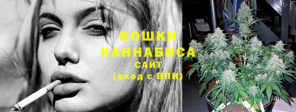 PSILOCYBIN Баксан