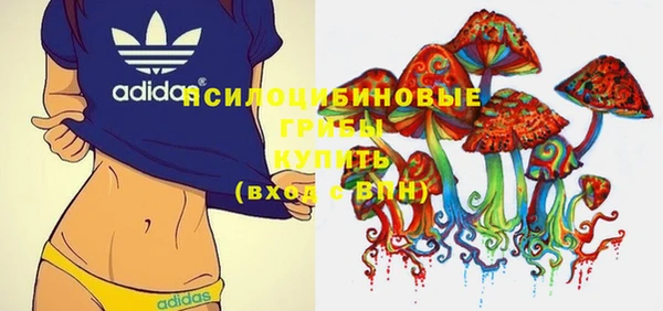 прущие крисы Балахна
