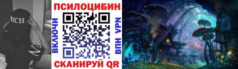 Галлюциногенные грибы Psilocybe  как найти наркотики  Гаврилов-Ям 